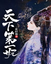 天下第一妃章节列表