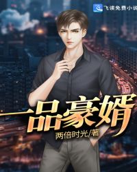 一品豪婿章节列表