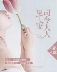 早安，司令大人章节列表