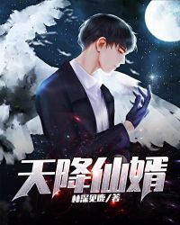 天降仙婿章节列表