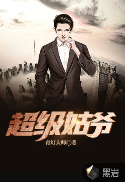 超级姑爷章节列表