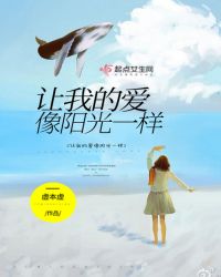 让我的爱像阳光一样章节列表