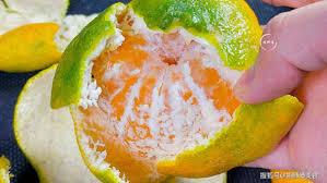 诡异复苏，我被女儿上交国家！章节列表