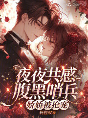 夜夜共感腹黑哨兵，娇娇被抢宠章节列表