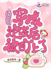 漂亮娇气包穿成炮灰后被盯上了章节列表