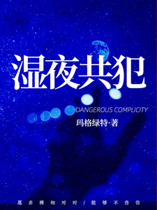 湿夜共犯章节列表