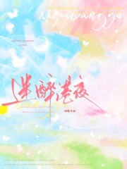 迷醉港夜章节列表