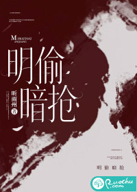 明偷暗抢章节列表