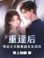 重逢后，傅总天天盼着前女友离婚章节列表