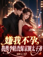 嫌我不孕？我携孕肚改嫁京圈太子爷章节列表