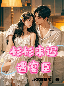 杉杉来迟遇宴臣章节列表