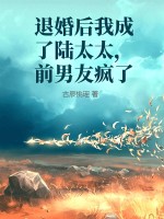 退婚后我成了陆太太，前男友疯了章节列表