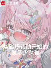 从磁场转动开始的魔法少女番！章节列表