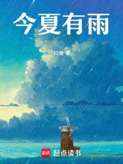 今夏有雨章节列表