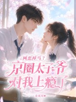 网恋掉马？京圈太子爷对我上瘾了章节列表