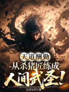 天道酬勤，从杀猪匠练成人间武圣章节列表