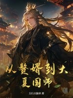 从赘婿到大夏国师章节列表