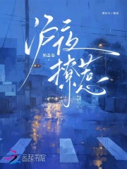 沪夜撩惹章节列表