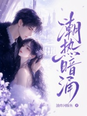 潮热暗涌章节列表