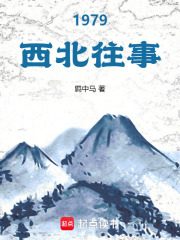 1979西北往事章节列表
