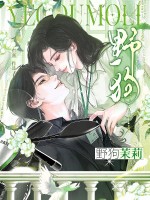 野狗茉莉章节列表