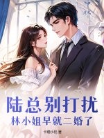 陆总别打扰，林小姐早就二婚了章节列表