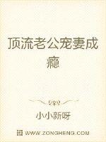 顶流老公宠妻成瘾章节列表