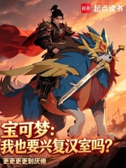 宝可梦：我也要兴复汉室吗？章节列表