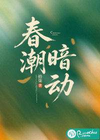 春潮暗动章节列表