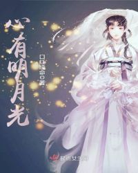 心有明月光章节列表