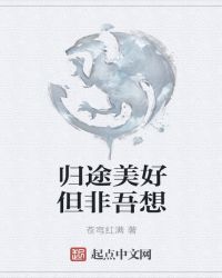 归途美好但非吾想章节列表