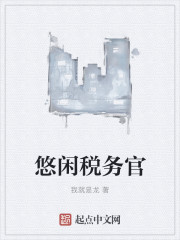 悠闲税务官章节列表