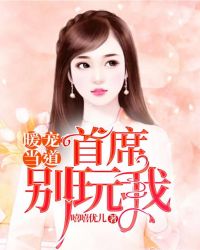 暖宠当道：首席别玩我章节列表