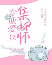 专业爱豆集邮师章节列表