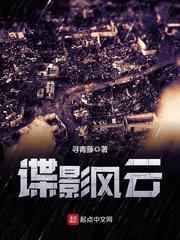 谍影风云章节列表