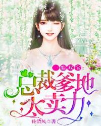 一胎双宝：总裁爹地太卖力章节列表