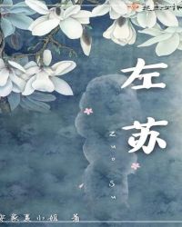 左苏章节列表