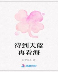 待到天蓝再看海章节列表