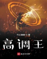 高调王章节列表