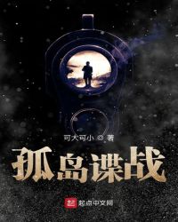 孤岛谍战章节列表