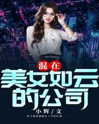 混在美女如云的公司章节列表