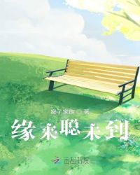 缘来聪未到章节列表