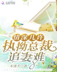 情深几许执拗总裁追妻难章节列表