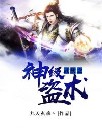 武侠之神级盗术章节列表