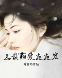 总裁霸爱夜夜宠章节列表