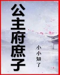 公主府庶子章节列表