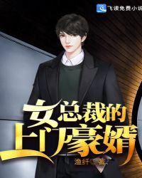 女总裁的上门豪婿章节列表