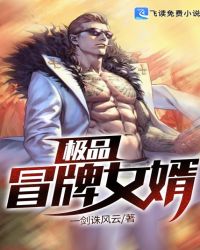 极品冒牌女婿章节列表