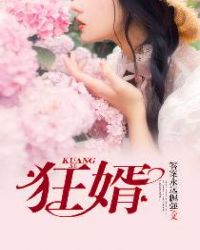 狂婿章节列表