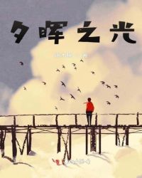 夕晖之光章节列表